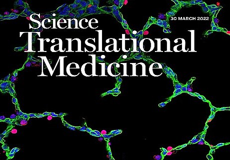 Inflammatory blockade prevents injury to the developing pulmonary gas exchange surface in preterm primates