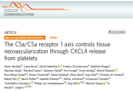 New publication describes how the C5a/C5a receptor 1 axis controls tissue neovascularization